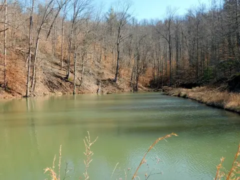 90 Acres Recreational Land, Kentucky