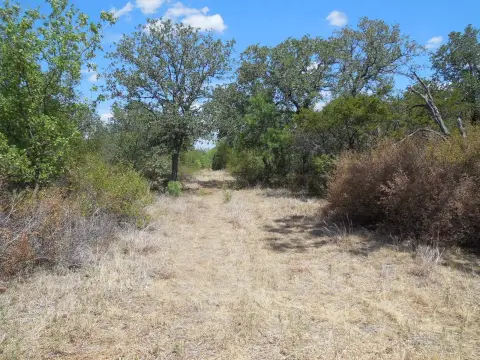 Heavily Treed Recreational Land