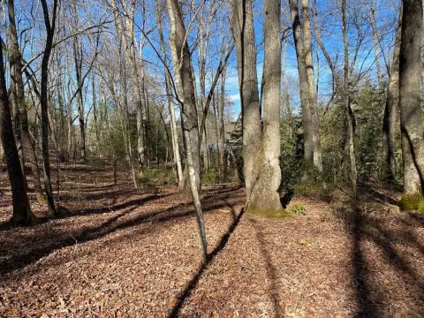 Wooded Cove Home Lot