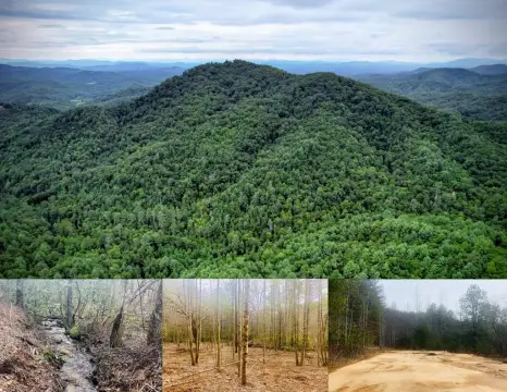 Recreational Land with Creeks