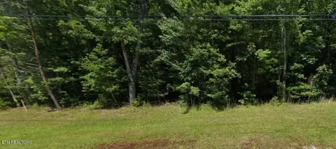 Residential Homesite in Resort Community