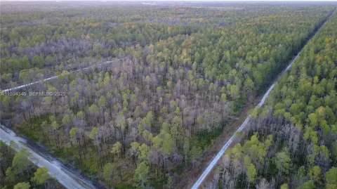 Spacious 1.25-Acre Vacant Lot