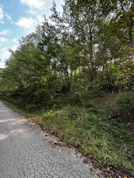 Land For Sale, Irvine, KY