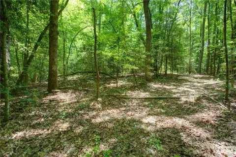 Wooded Dawsonville Land For Sale