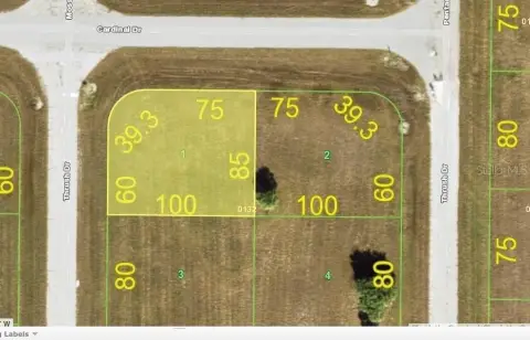 Cleared Lot Near Beaches