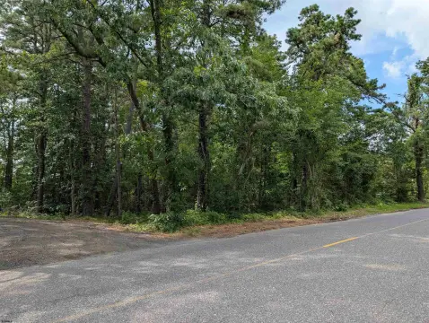 Wooded Lot Near Black Horse Pike