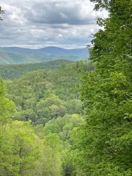 Mill Creek Vacant Land