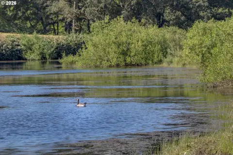 Recreation Land with Riverfront and Private Lake
