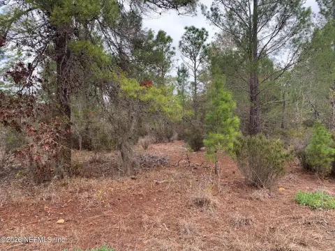 Wooded Lot in Interlachen, FL