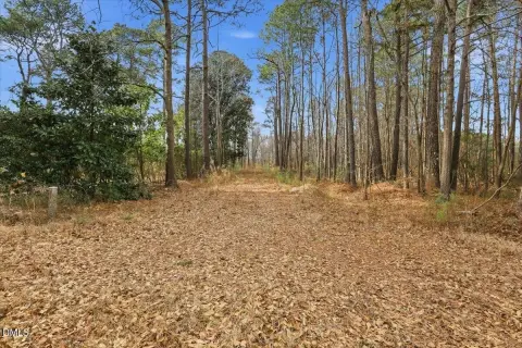 Land in Micro, North Carolina