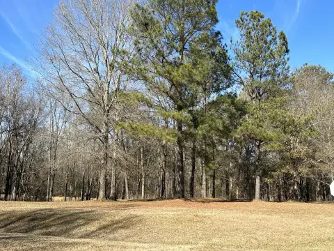 Residential Land in Waynesboro, GA