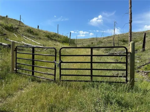 40 Acres of Montana Land