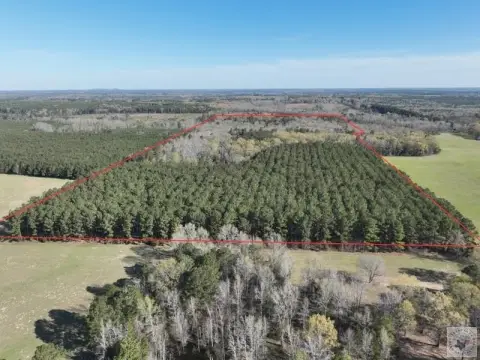 43 Acres Hunting/Recreation Land