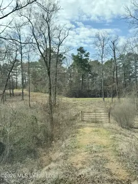 Land in Hernando, Mississippi