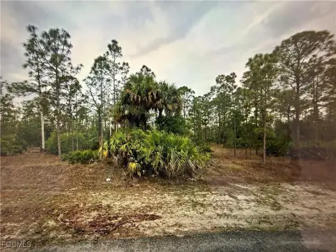 Lehigh Acres Land Opportunity