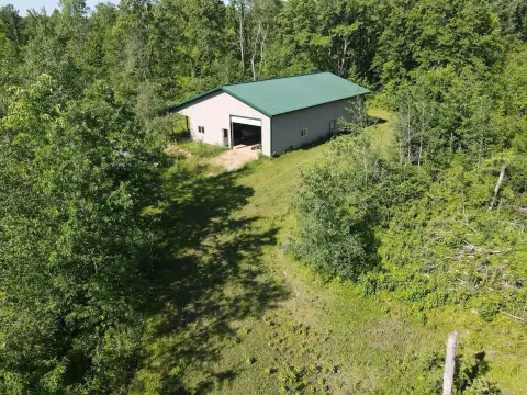 Wooded Hunting Land