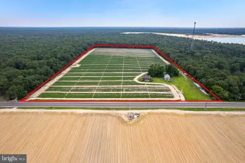19.5 Acres Farm Lot