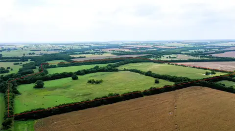 Hunting Land for Cattle Grazing & Hunting