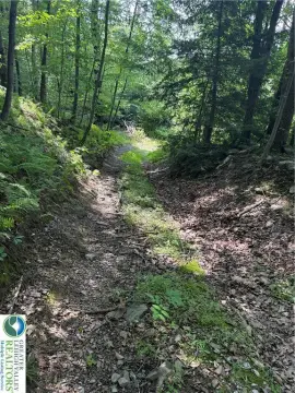 Recreational Hunting Camp Land
