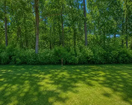 Wooded Residential Building Lot