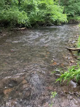 Unrestricted Waterfront Land with Creek
