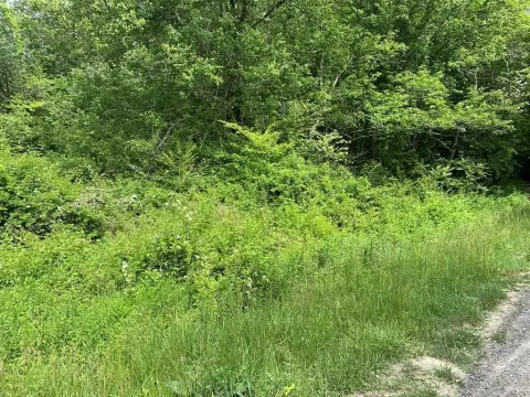 Unrestricted Recreational Land Parcel