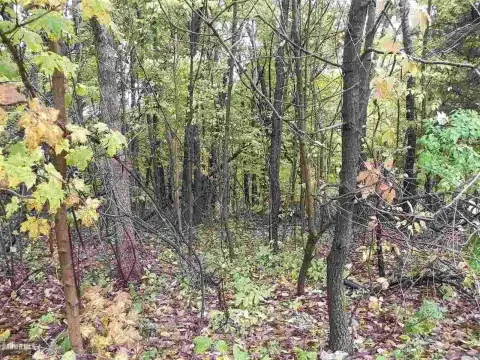 Two Acre Wooded Parcel
