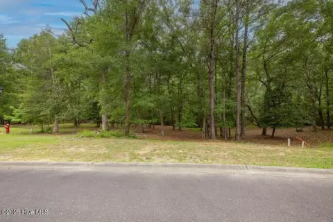 Wooded Cul-de-Sac Home Lot