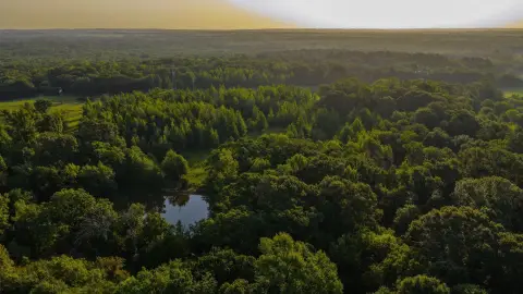 Ranch Property with Pond and Creek