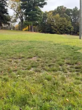 Commercial Land with Billboard