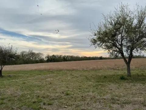 Danbury, TX Raw Land Available