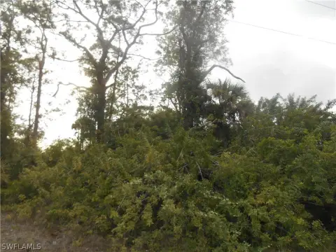 Lehigh Acres Half Acre Lot