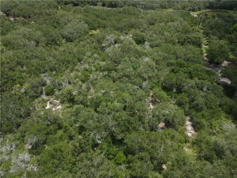 Ingleside Land with Mature Trees