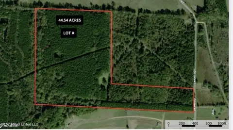 44.54 Acres Near Natchez Trace