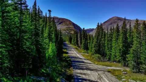 Land with Blue River Views