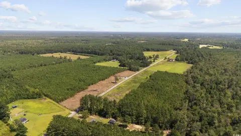 Nichols, SC Acreage Opportunity