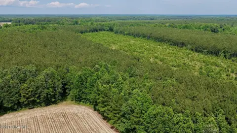 Hunting Land with Deer and Turkey