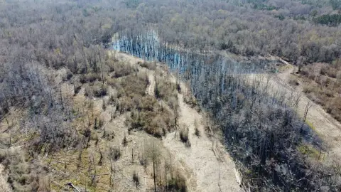 290 Acres Hunting/Recreational Land