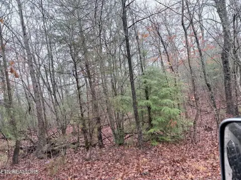 Unrestricted Mountain Land
