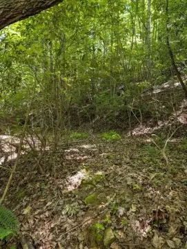 Residential Lot in Tarheel Subdivision