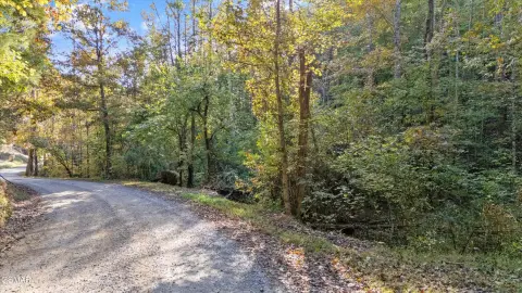 Sevierville Wooded Lot Near Attractions