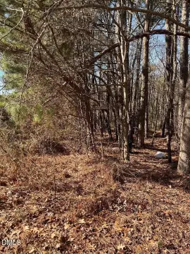Wooded Land Near Highway 540