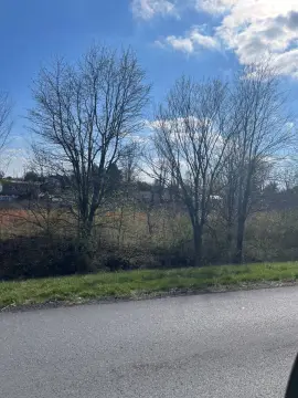 Prime Vacant Land Opportunity