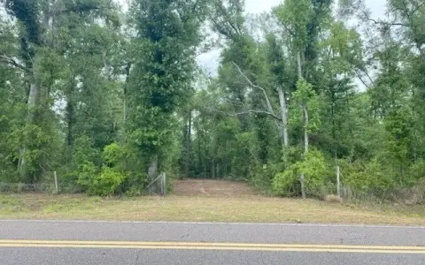 Wooded Acreage on Paved Road