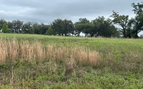 Residential Lot in Live Oak