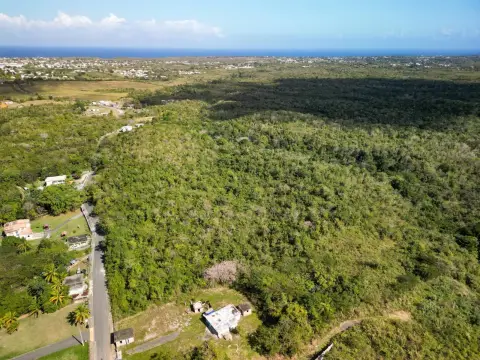 Agricultural Land in Aguadilla