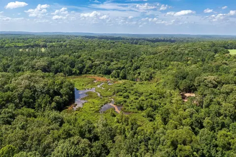 Agricultural Land with Creek Water Feature