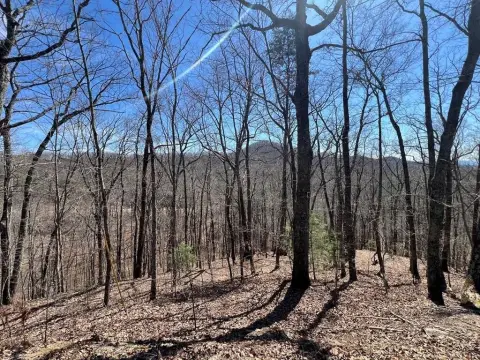 Mountain View Homebuilding Lot