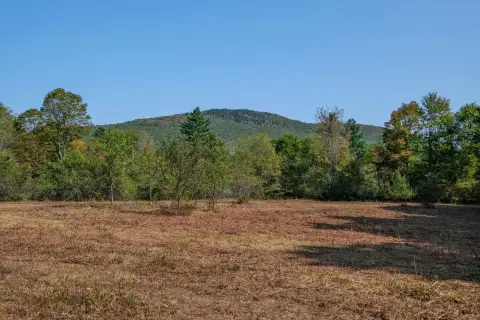 Residential Land Near Okemo