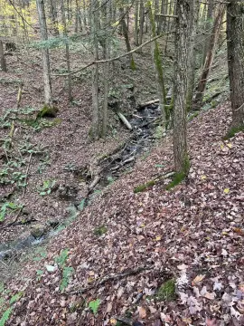 Royalton, VT Land Opportunity